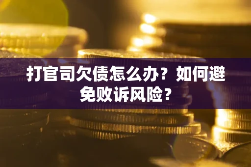 北京打官司欠债怎么办？如何避免败诉风险？