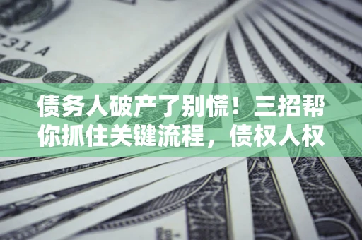北京债务人破产了别慌！三招帮你抓住关键流程，债权人权益不再缩水
