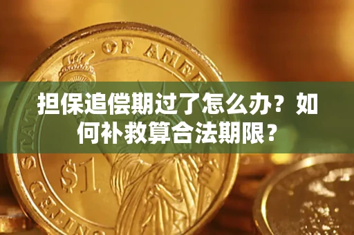 北京担保追偿期过了怎么办？如何补救算合法期限？