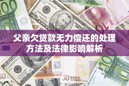 北京父亲欠贷款无力偿还的处理方法及法律影响解析